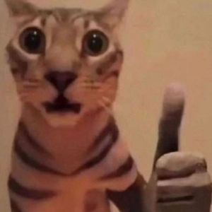 Meet your Posher, Xavier